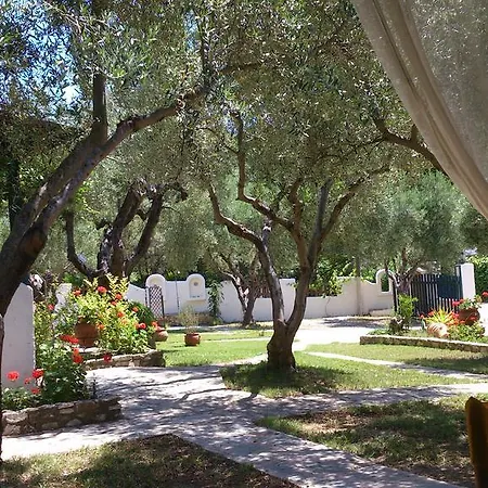 Olive House * Elia Nikitis