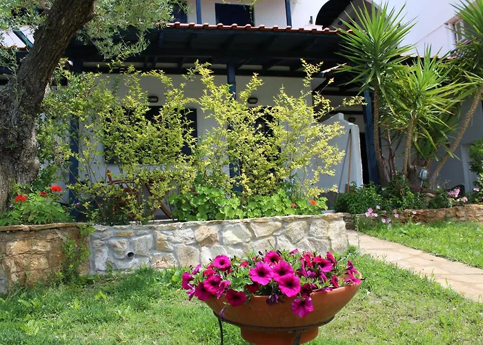 Olive House