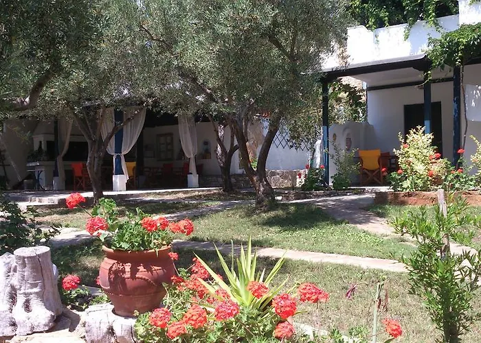 Olive House *