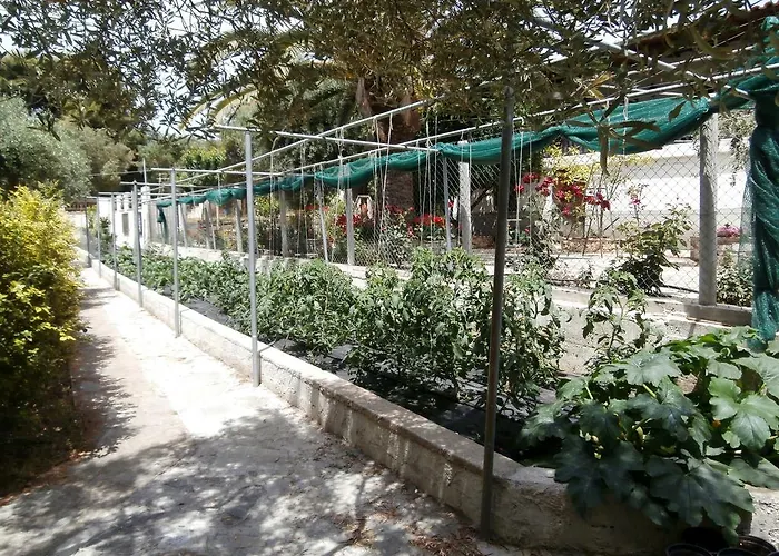 Apartment Olive House Elia Nikitis