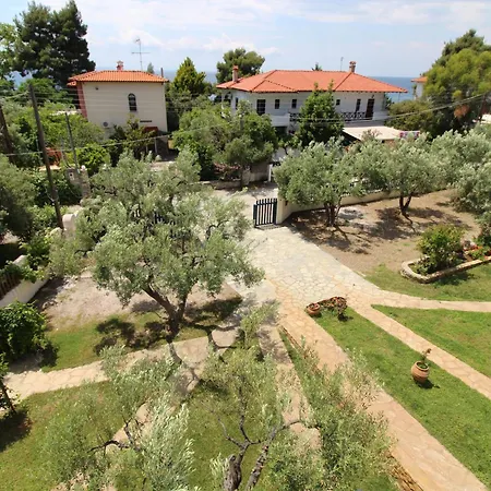 Olive House Elia Nikitis