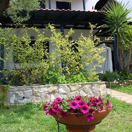 Olive House