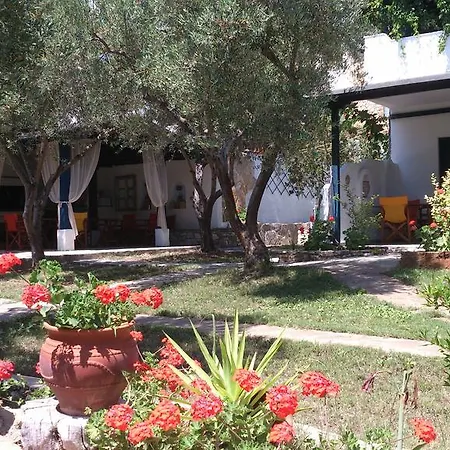 Olive House *