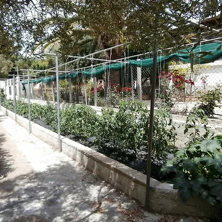 דירה Olive House אליה