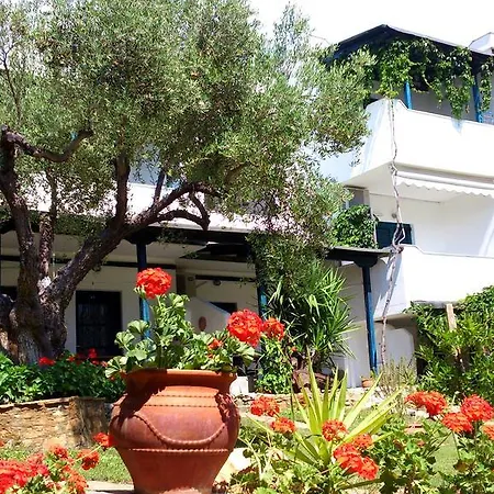 Apartment Olive House