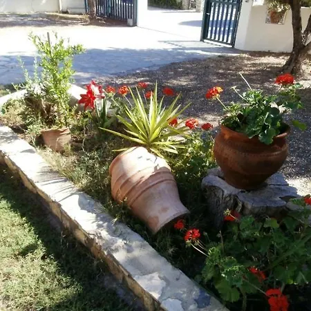 Olive House Apartament *