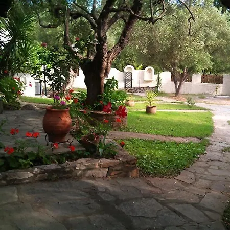 Olive House דירה