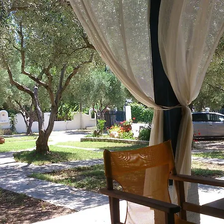 Olive House Elia Nikitis