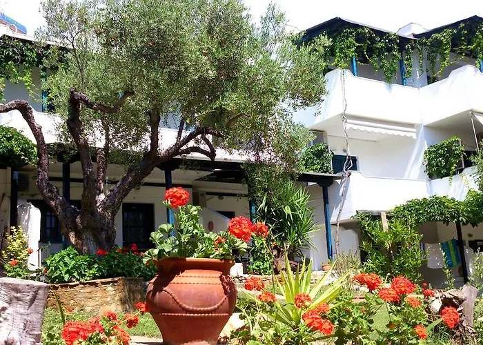 Daire Olive House