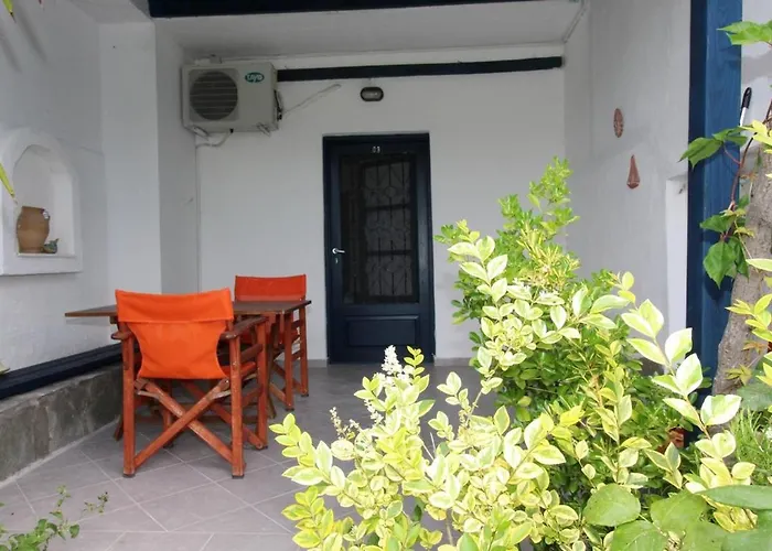 Olive House Elia Nikitis