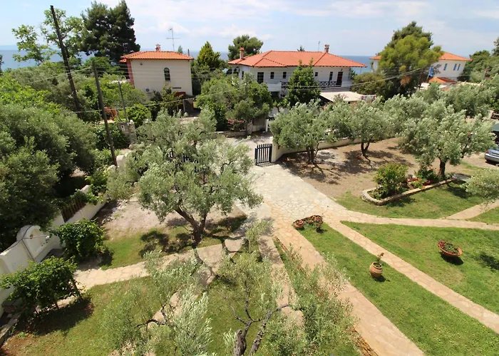 Olive House Elia Nikitis