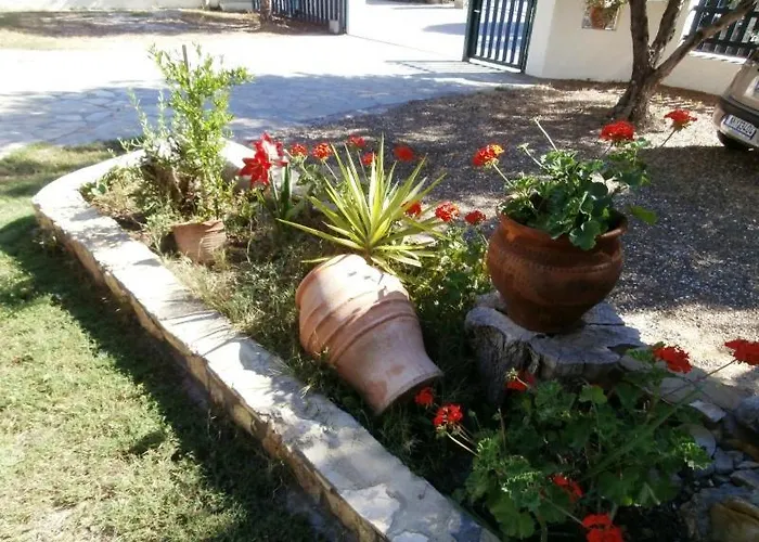 Olive House Appartamento *