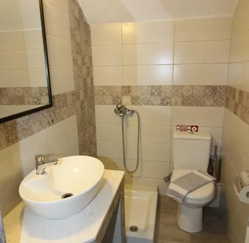 Olive House Elia Nikitis